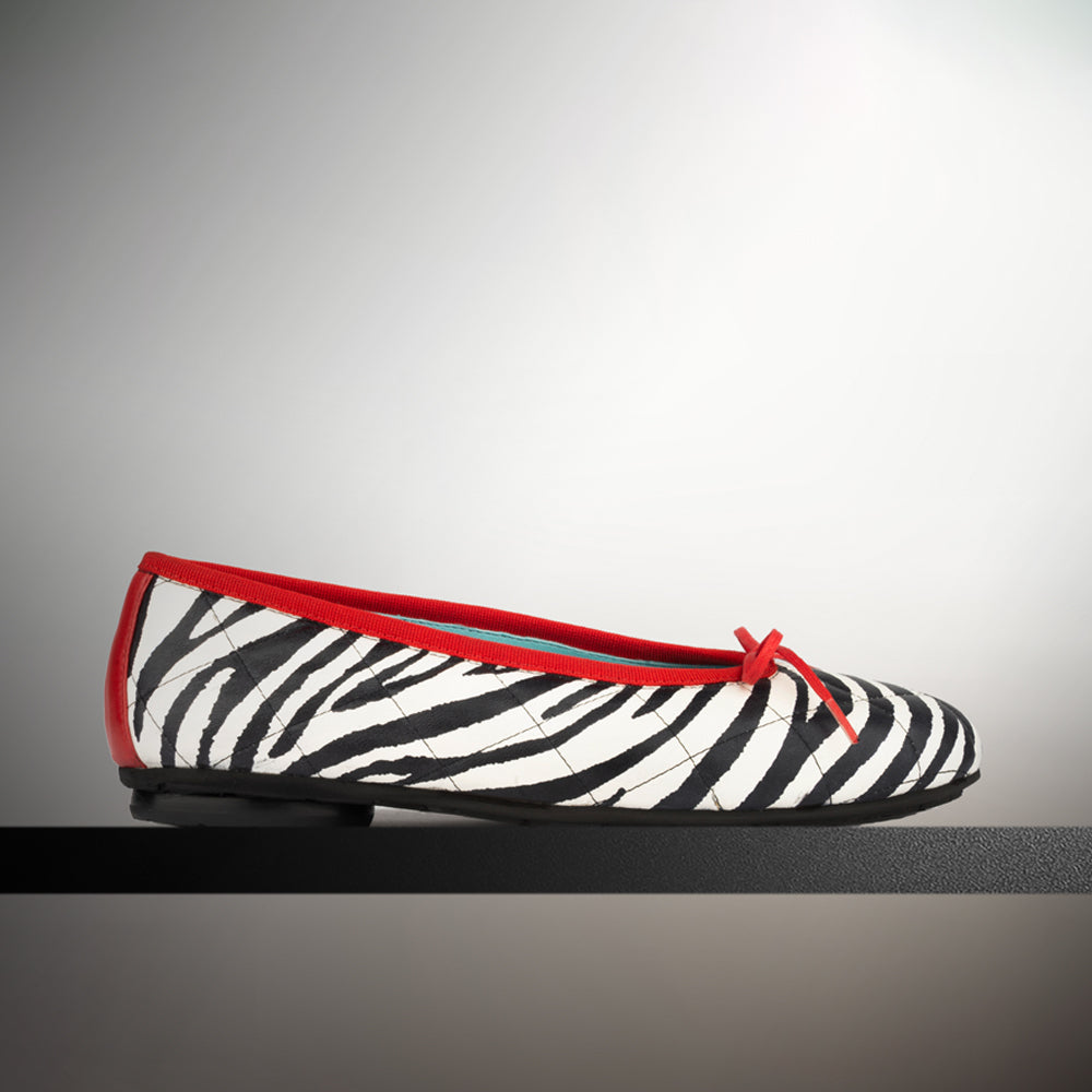 BLACK AND WHITE ZEBRA