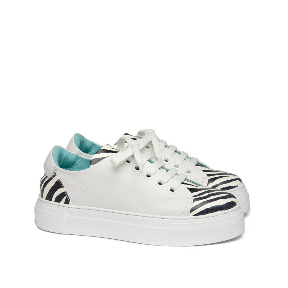 BLACK AND WHITE ZEBRA