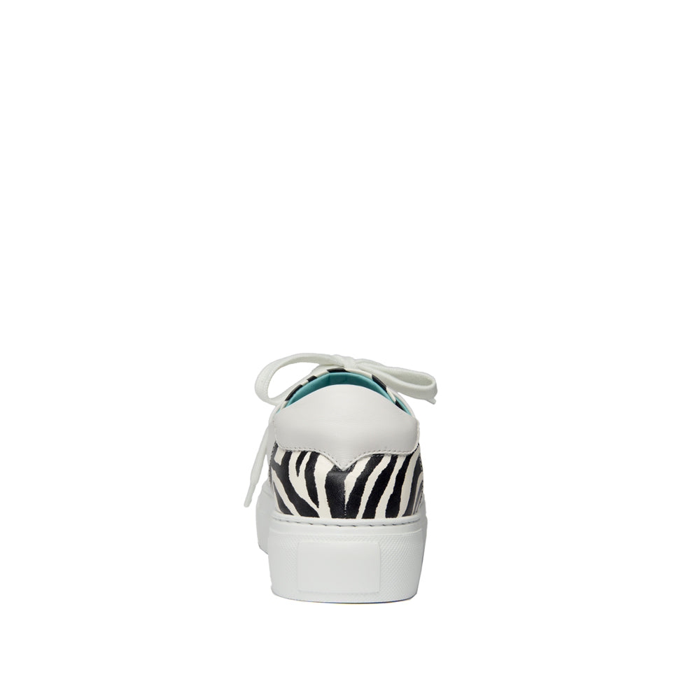 BLACK AND WHITE ZEBRA