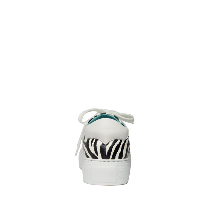 BLACK AND WHITE ZEBRA